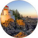 Andrei Luchian profile picture